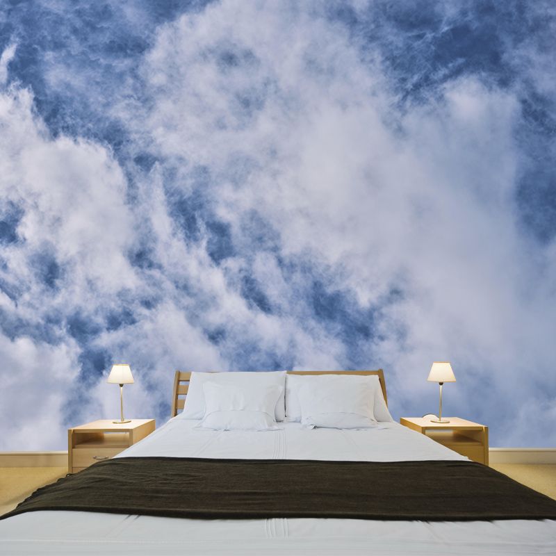 Clouds Mural Mildew Resistant Contemporary Sitting Room Wall Mural