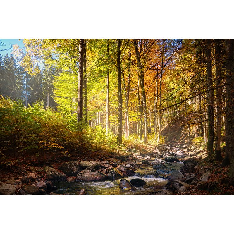 Autumn Forest Landscape Mural Water Resistant Wall Decor for Sitting Room