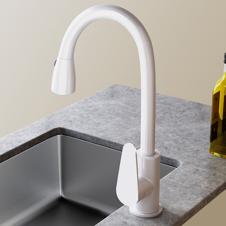 Contemporary Swivel Spout Standard Kitchen Faucet with Pull Down Sprayer