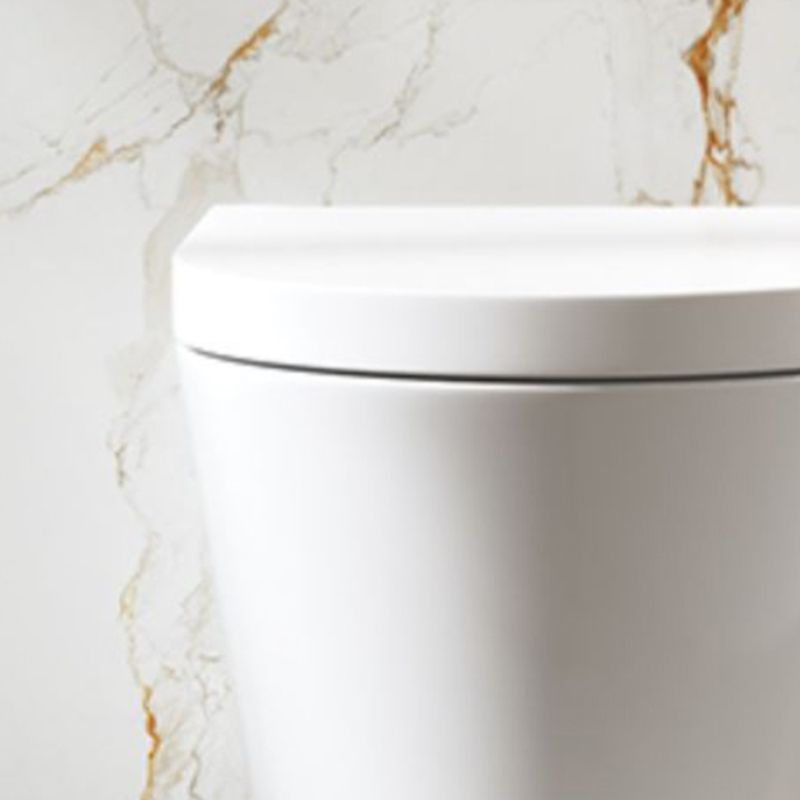 Contemporary Wall Hung Flush Toilet Ceramic Urine Toilet with Seat for Washroom