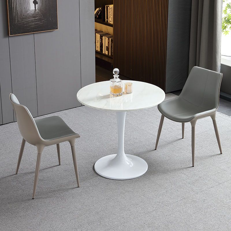 Silla de comedor de metal contemporáneo, sillas de comedor de cuero para uso doméstico