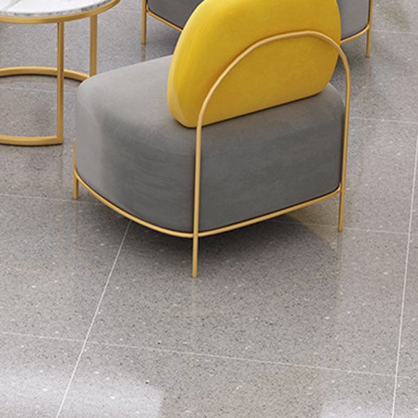 Contemporary Grey Sofa with Golden Frame and Armless Standard Sofa