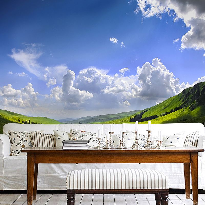 Landscapes Photography Mildew Wall Mural Horizontalt for Living Room