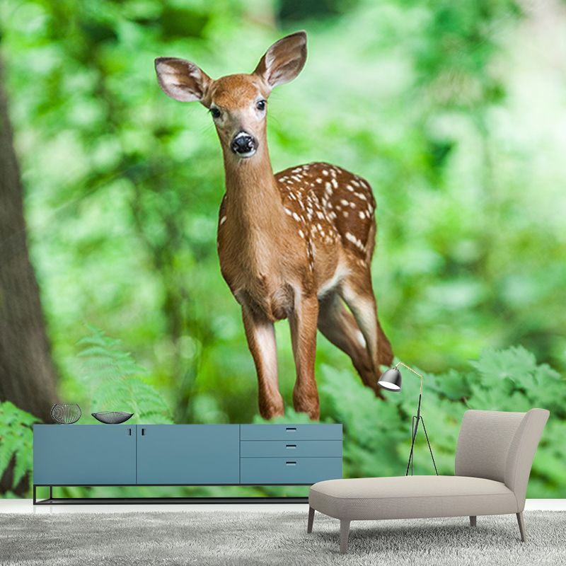 Animals Photography Mildew Resistant Wallpaper Environmental Sleeping Room Wall Mural