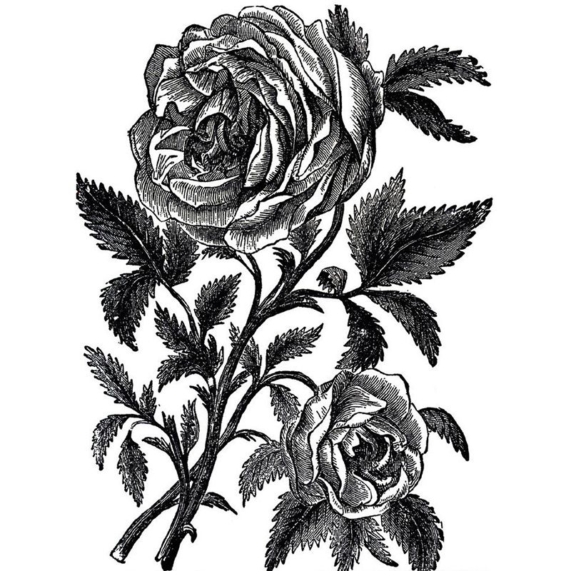 Whole Blossoming Rose Mural Wallpaper for Wall Decor Modern Girls Bedroom Wall Art