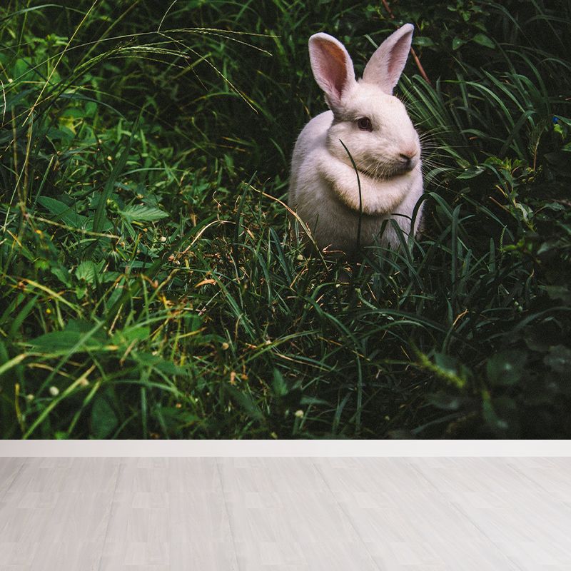 Customized Hare Wall Paper Murals Mildew Resistant Living Room Wall Decor