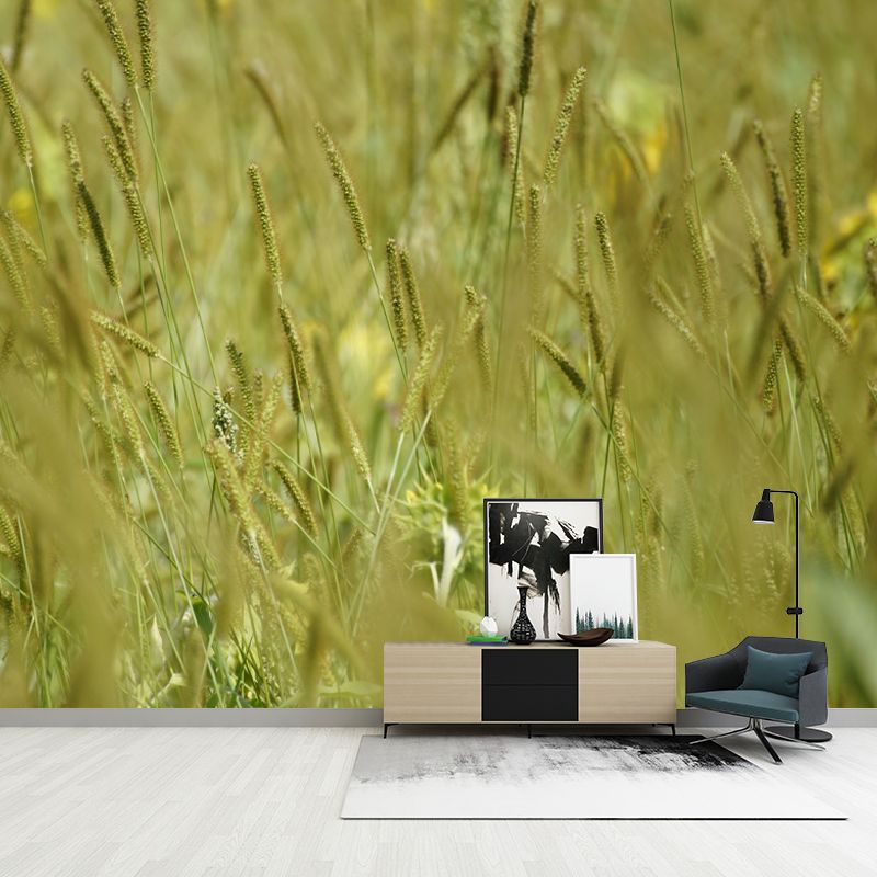 Setaria Plant Moisture Resistant Wall Mural Living Room Wall Decor, Custom Size Available