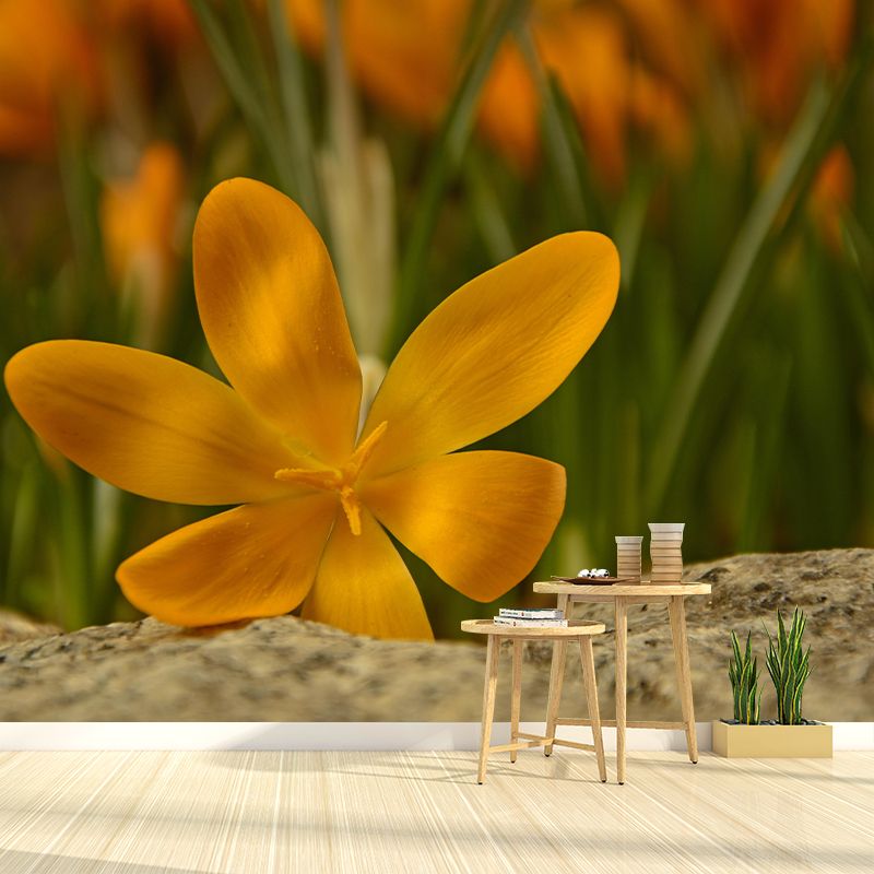 Blooming Saffron Mural Wallpaper Environmental Contemporary for Bedroom