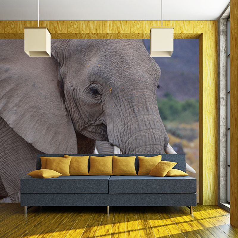 Customized Elephant Wall Mural Horizontal Photography for Sleeping Room Decoration