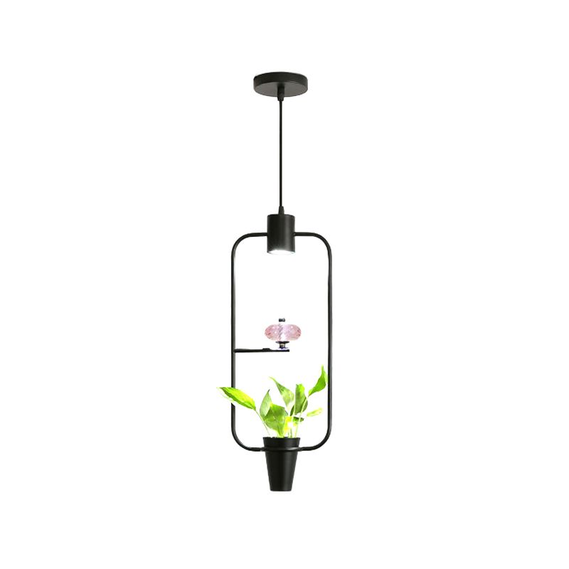 Suspension à LED à LED en métal Loft Black / Gol Circle / ovale / rectangle Pendante de salle à manger avec récipient de plantes