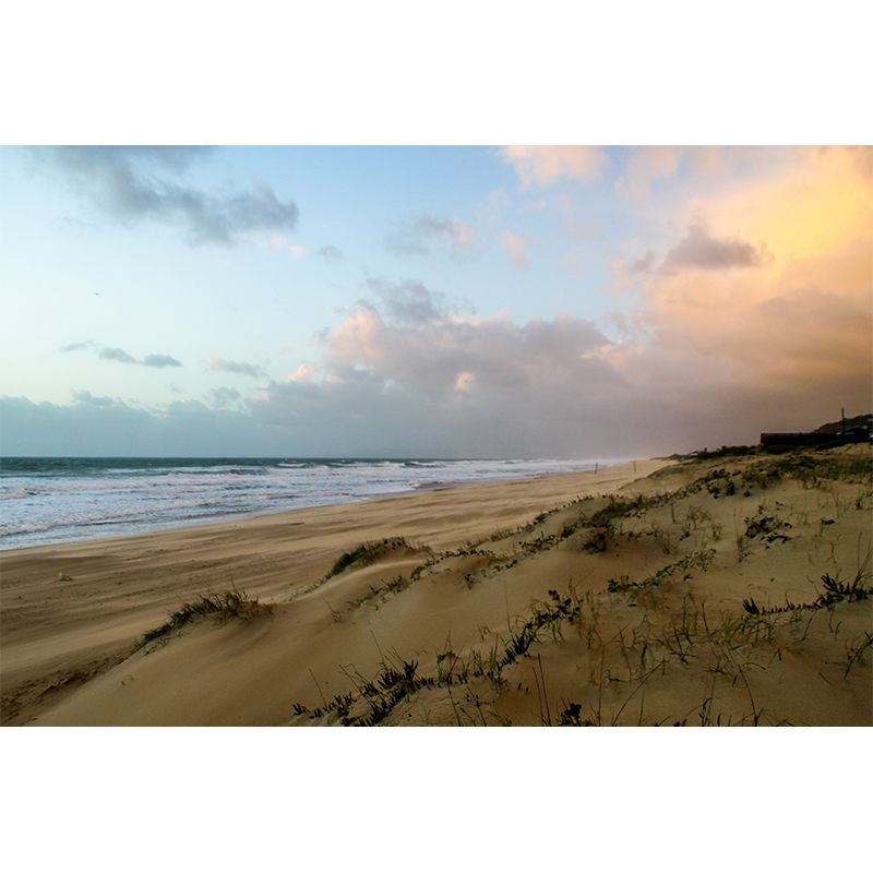 Sea Beach Coastal Environmental Wallpaper Living Room Wall Mural
