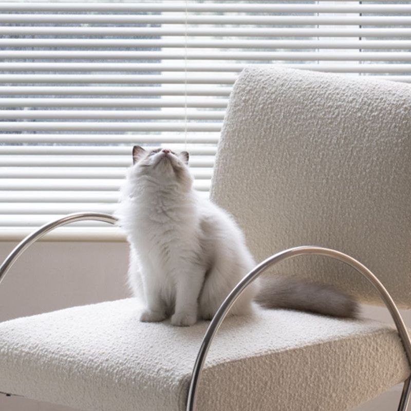Contemporary Round Arms Accent Armchair White Fixed Back Arm Chair for Living Room