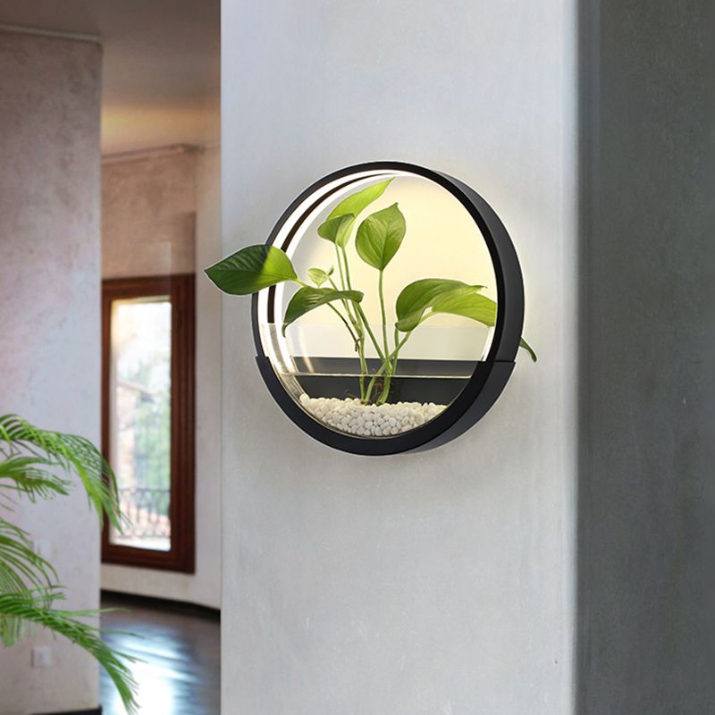 Acrylic Circular Wall Lighting Artistic LED Wall Sconce with Plant Container Function