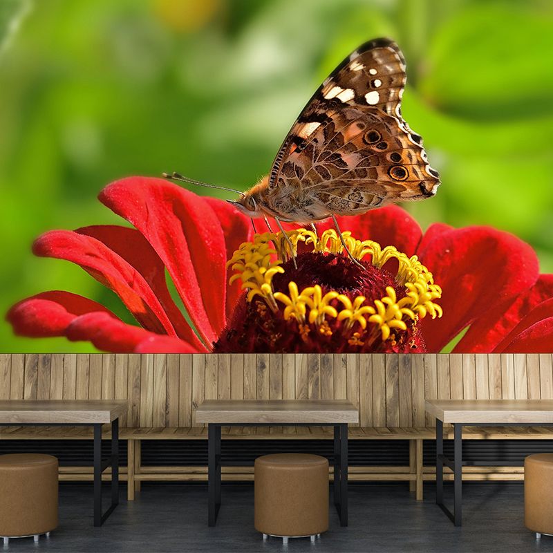 Environment Friendly Mural with Butterfly Painting Mildew Resistant Wallpaper Home Decor