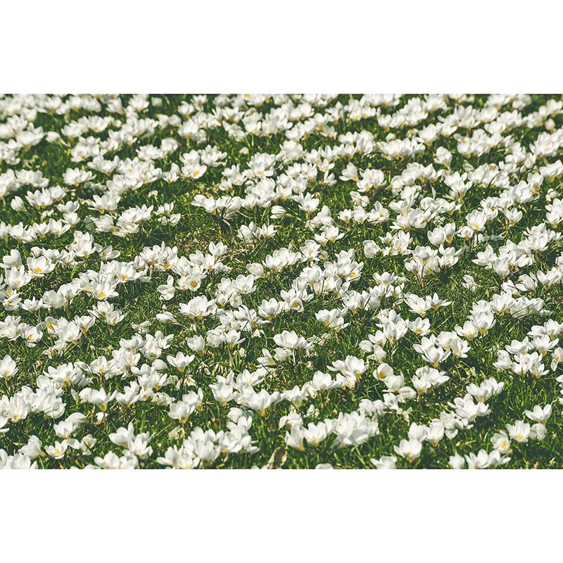 Modern Saffron Mural Wallpaper Stain Resistant Wall Covering for Living Room