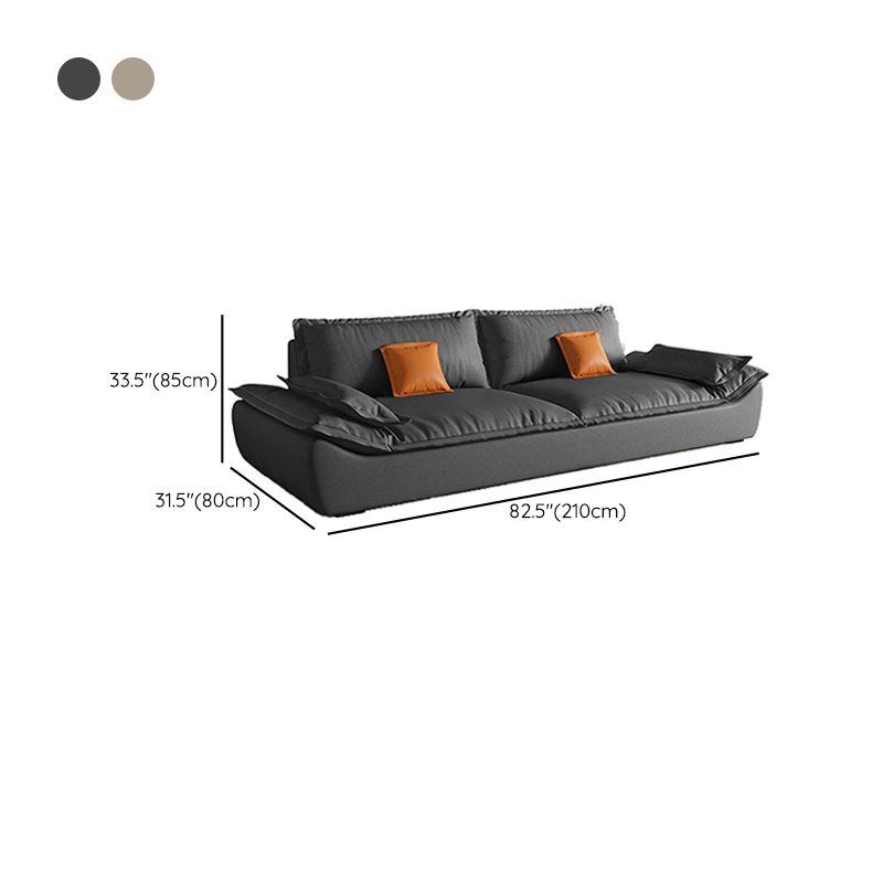 Contemporary Living Room Pillow Top Arm Sofa with 2 Pillows Seating