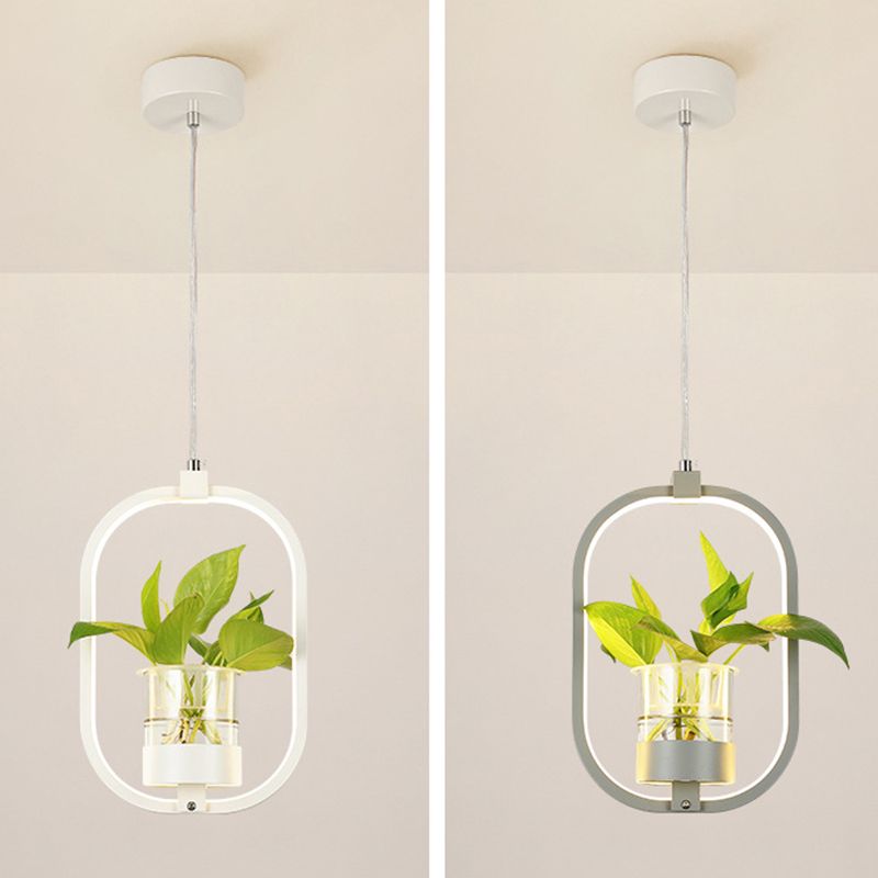 Modern Metal Hanging Lamp 1 Light Pendant Light for Dining Table  (without plants)