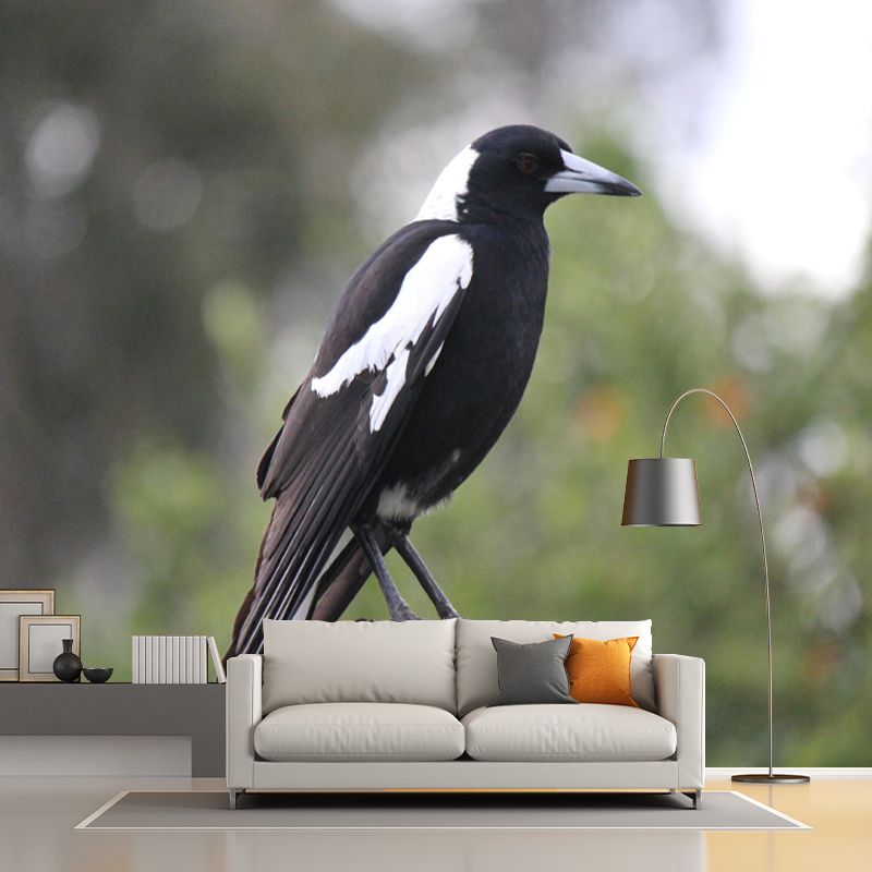Modern Magpie Mural Wallpaper Moisture Resistant Living Room Wall Covering