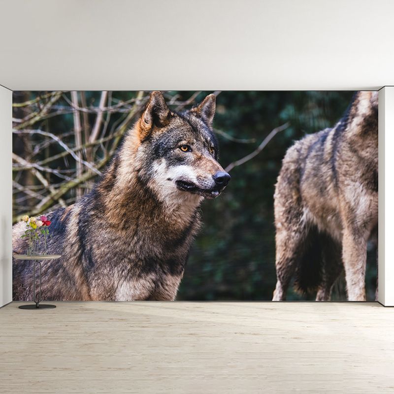Wild Animal Contemporary Mural Horizontal Photography Bedroom Wall Mural