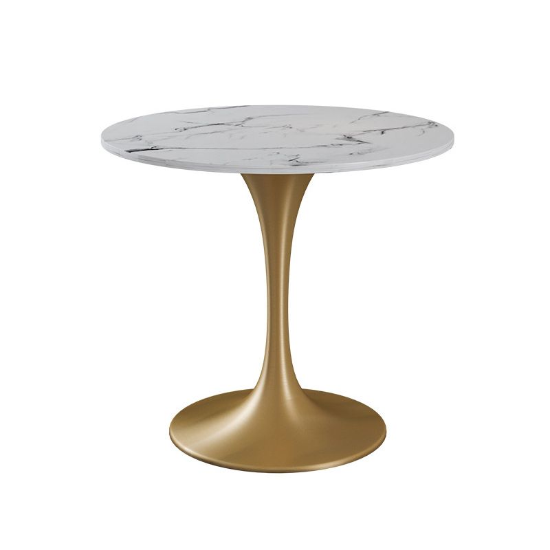 Metal Traditional Luxury Round Table Sintered Stone Table with Tulip Base for Home