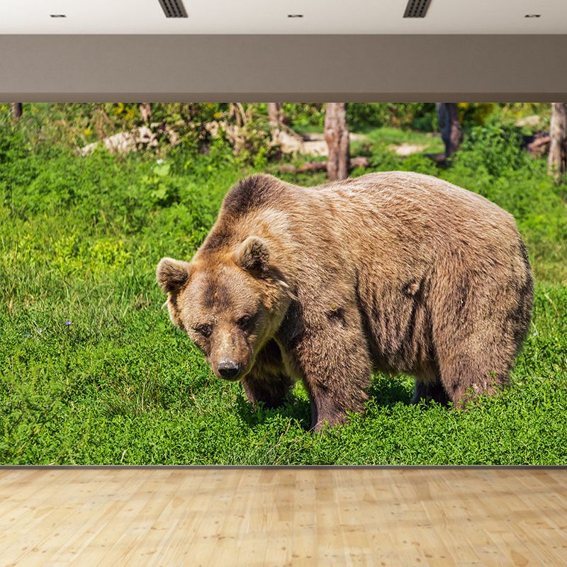 Cute Bear Wall Decals Water Resistant Wall Art for Kid's Bedroom, Made to Measure