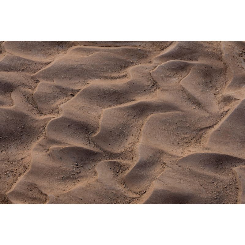 Desert Landscape Mural Photography Wall Decor for Sitting Room