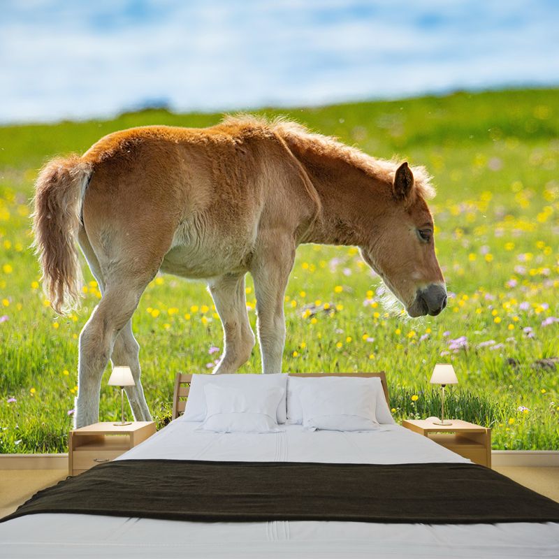 Photography Animal Horse Mural Wallpaper Environment Friendly for Living Room