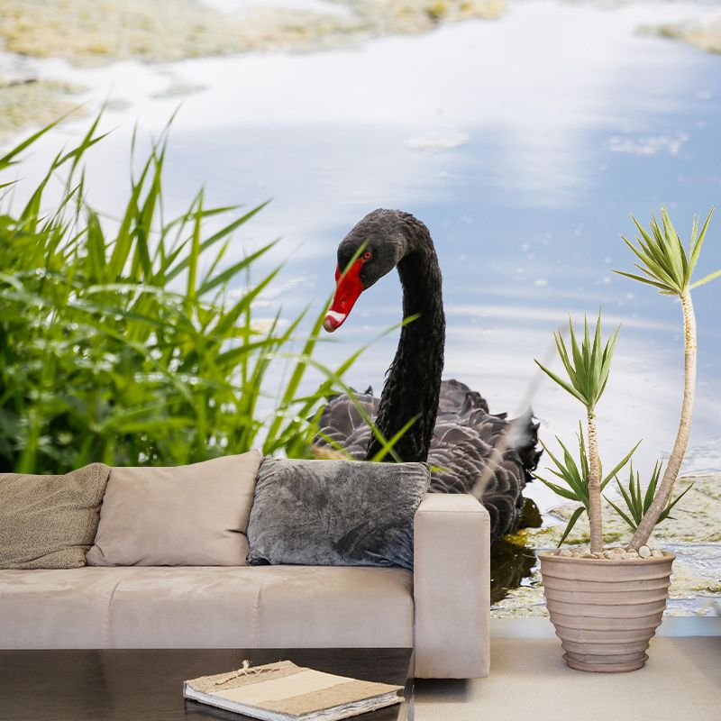 Customized Black Swan Wall Mural Contemporary Photography for Bedroom Living Room