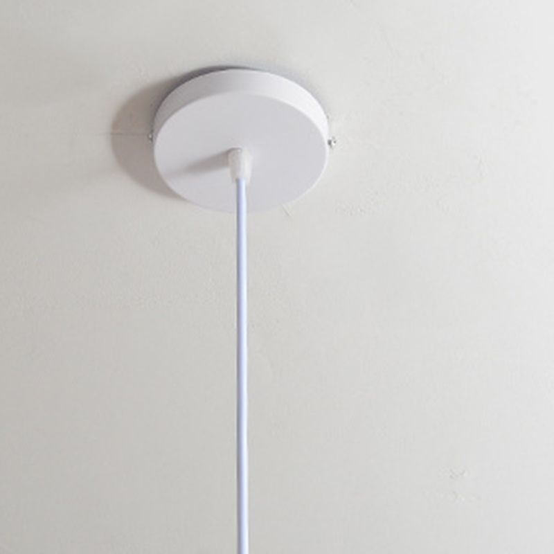 Beige Asia Pendulum Light Dome Rattan 1-Light Hanging Ceiling Light for Dining Room