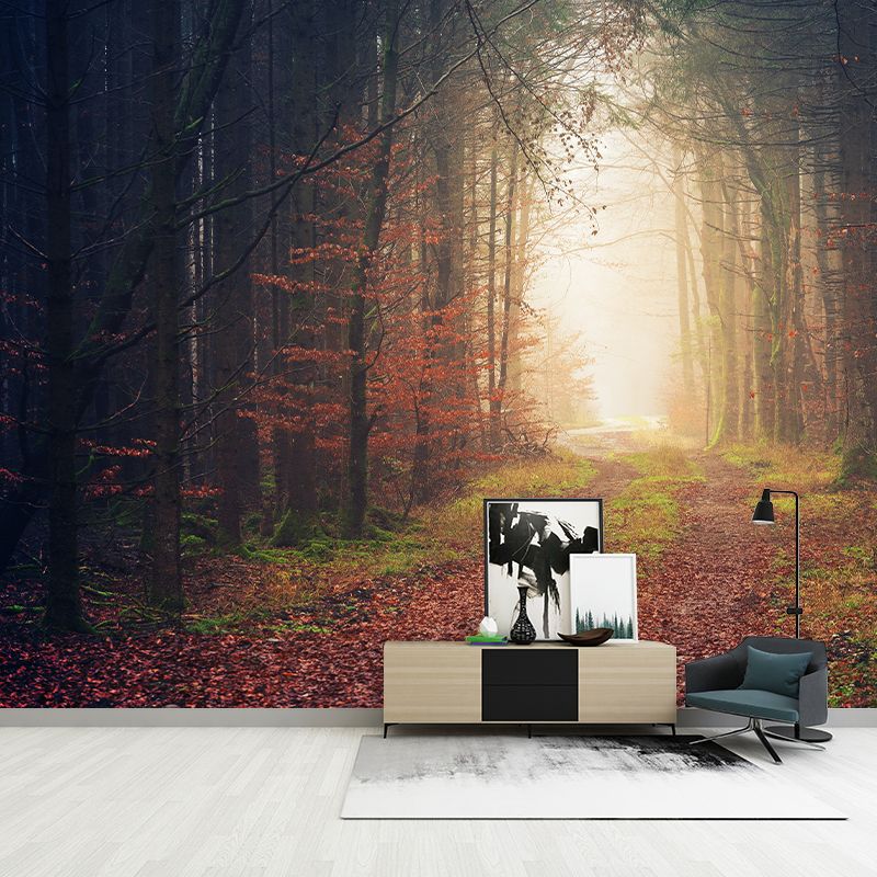 Modern Photography Forest Stain Resistant Wallpaper Living Room Wallpaper