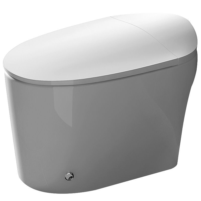 Contemporary Elongated Toilet Bowl White One Piece Toilet with Glazed Surface