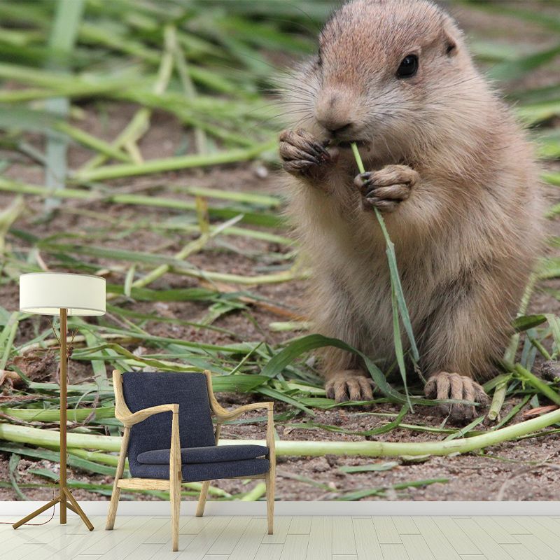 Customized Contemporary Prairie-Dog Mural Mildew Resistant for Sitting Room Bedroom