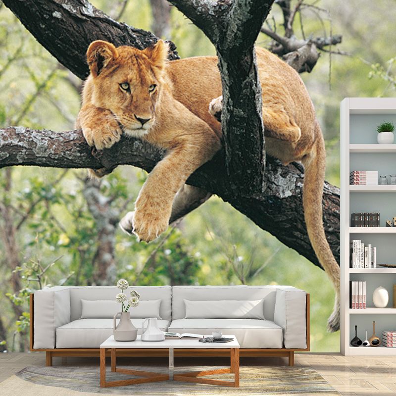 Teenage Lion in Tree Mural Wallpaper Modern Water-proof Living Room Wall Covering, Custom Made