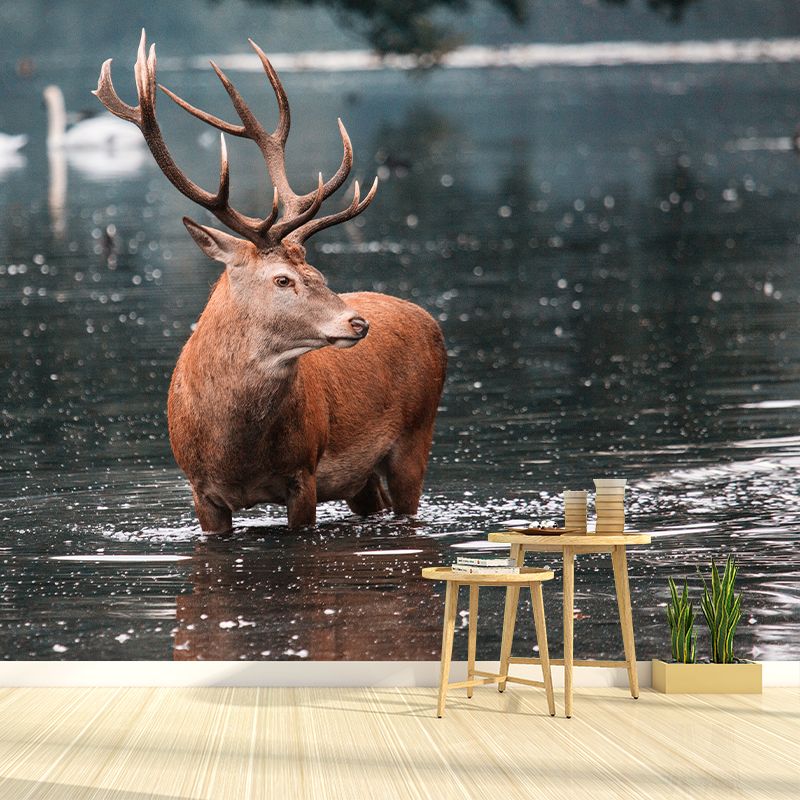 Deer Animal Mural Wallpaper Decorations for Sitting Room, Stain Resistant