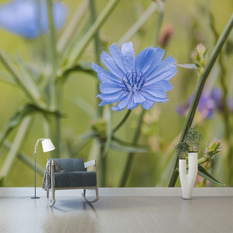 Chicory Mural Wall Covering for Living Room Decorative Mildew Resistant Wallpaper