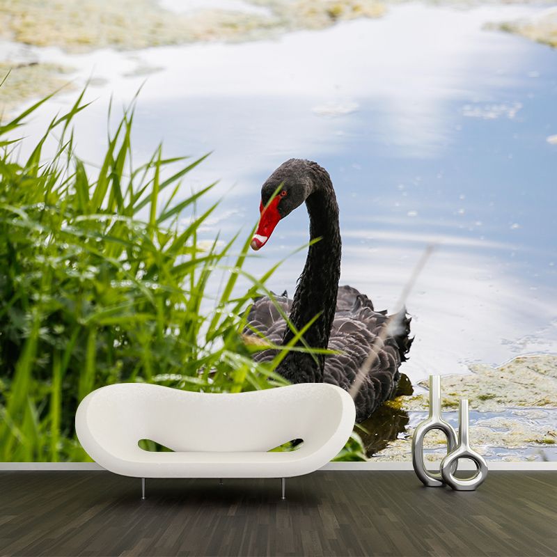 Customized Black Swan Wall Mural Contemporary Photography for Bedroom Living Room