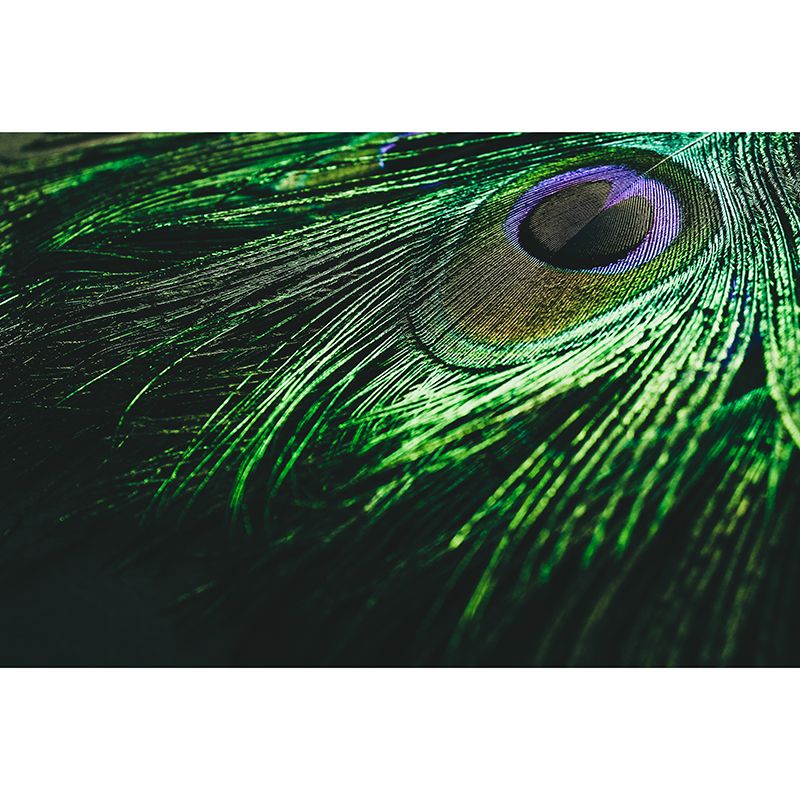 Tropical Peacock Feather Mural Stain Resistant Wall Art for Home Decor