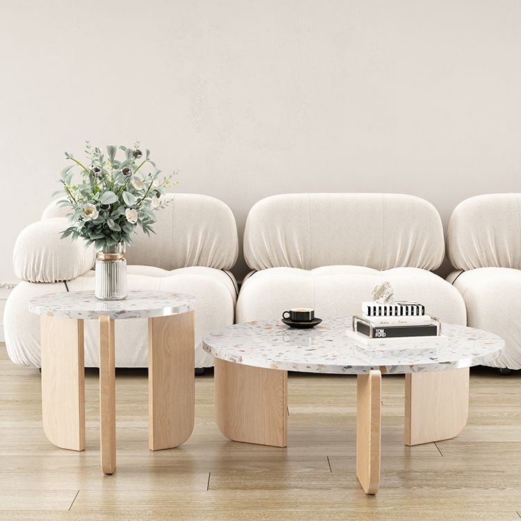 Round Terrazzo Coffee Cocktail Table Set with Acrylic/Ash Legs