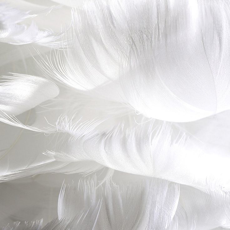 Feather White Hanging Lamp in Modern Style Round Shaped Indoor Pendant Light