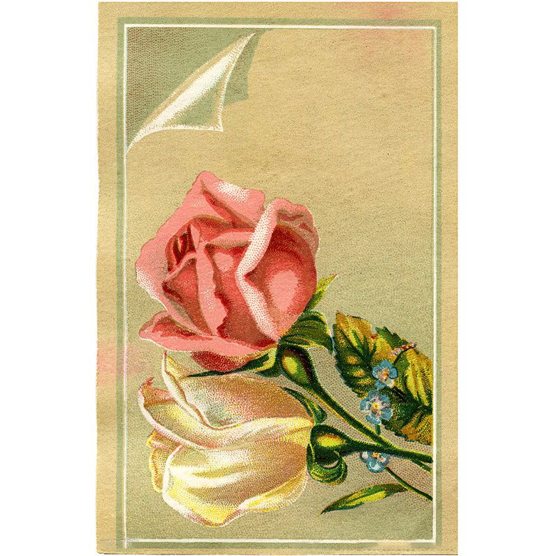 Contemporary Style Girls Mural Wallpaper Blooming Floral Printed Pink Wall Covering