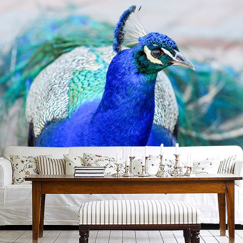Tropical Peacock Photo Moisture Resistant Mural Decal Modern Wall Decor for Bedroom