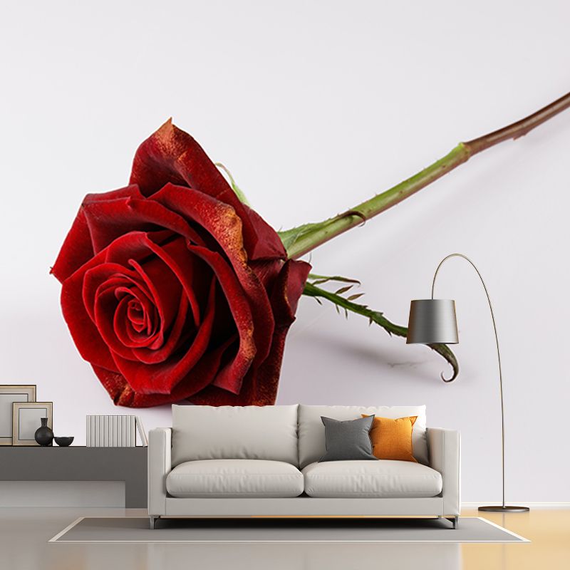 Photography Stain Resistant Wallpaper Beautiful Roses Living Room Wall Mural