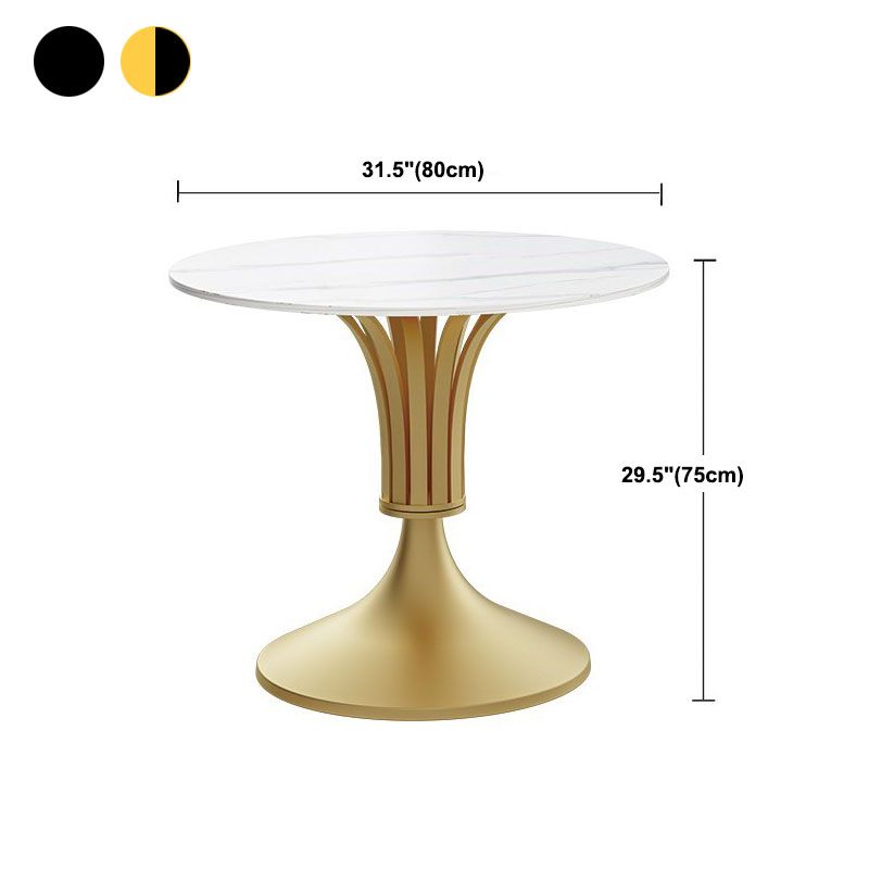Modern Style Round Dining Table Sintered Stone Table with Pedestal Base
