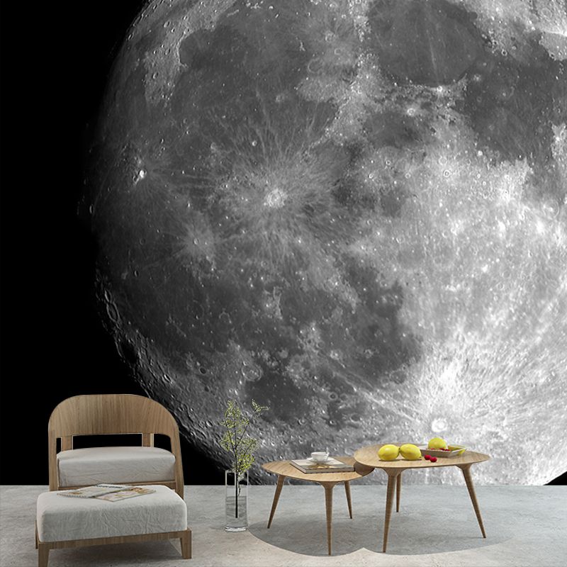 Planet Mercury Wall Paper Mural Black-Grey-White Contemporary Wall Decor for Home