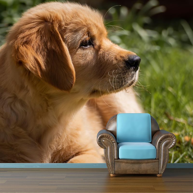 Lovely Golden Retriever Mural Wall Decor Living Room Wall Covering for Decoration