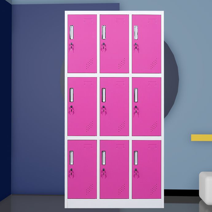 Matte Finish Cabinet with Metal Door Modern Hinged Door Wardrobe