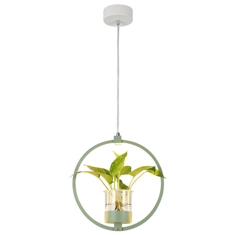 Modern Metal Hanging Lamp 1 Light Pendant Light for Dining Table  (without plants)