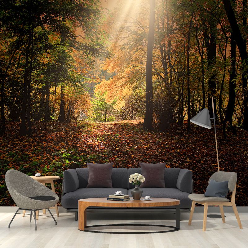 Forest Landscape Mural Wallpaper Home Decor Personalized Size Mural Wallpaper for Dining Room
