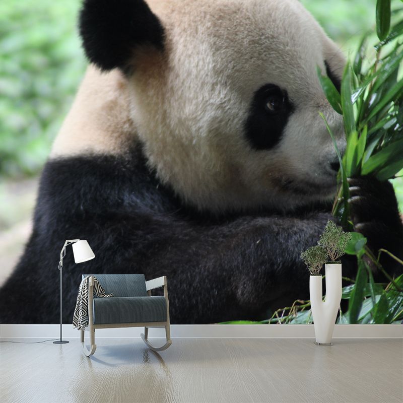 Cute Panda Wall Mural Customized Modern Wall Covering for Bedroom, Water Resistant