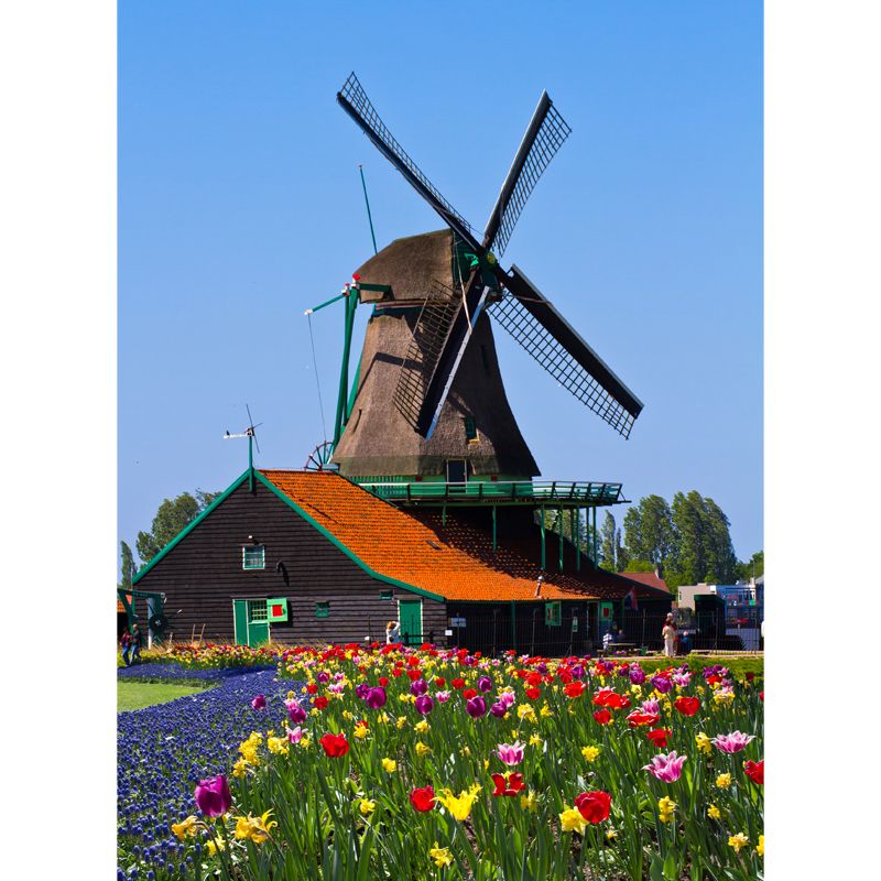 Whole Windmill View Mural Wallpaper for Wall Decor Contemporary Girls Room Wall Art